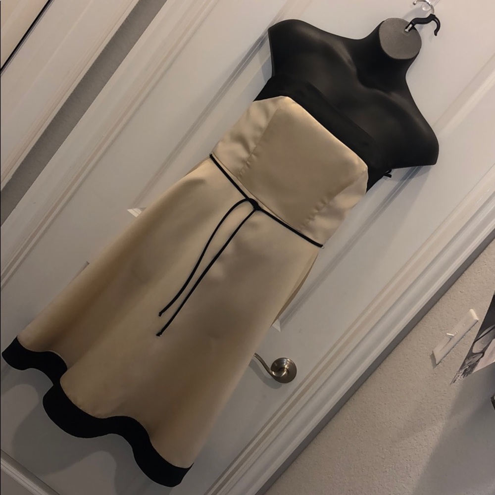 WHBM Cream and Black A-Line dress